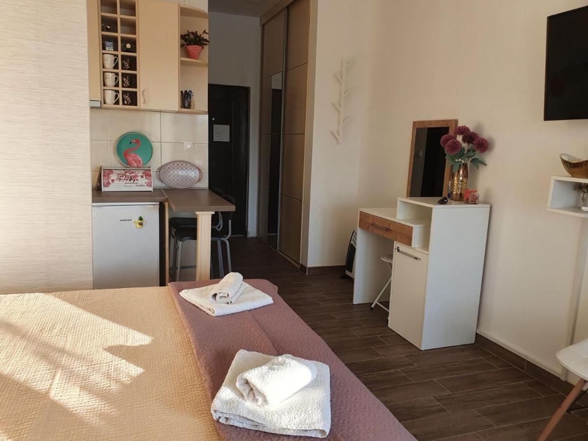 Zen Apartment Veliko Gradište 外观 照片